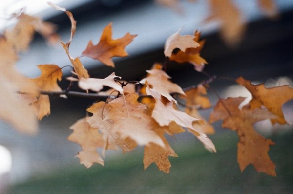 Фотовиставка Надії Міщук