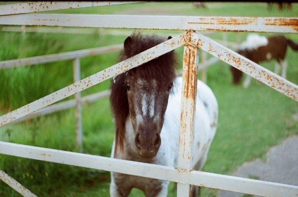 Фотовиставка Надії Міщук