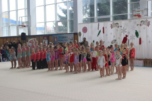 У Луцьку визначили кращих гімнасток. ФОТО