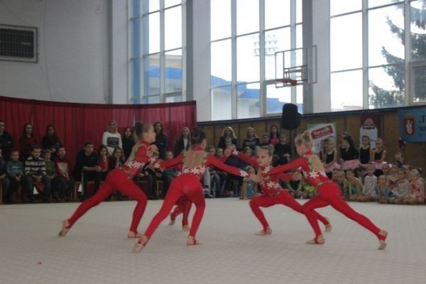 У Луцьку визначили кращих гімнасток. ФОТО