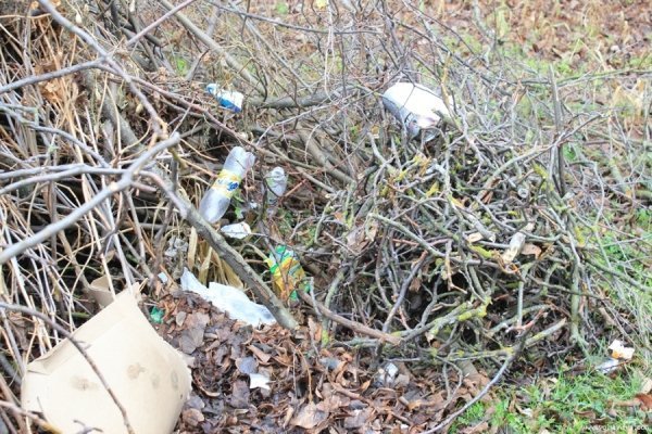 Дитсадок в Луцьку, як прохідний двір. ФОТО