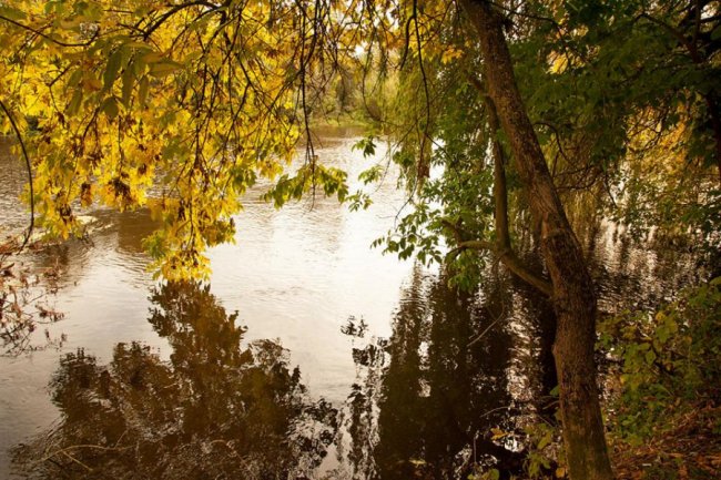 Автор фото - Олег Бурлака