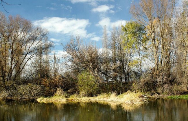 Автор фото - Олег Бурлака