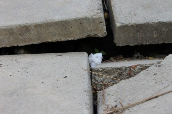 Вулиця після «облагородження» нагадує майданчик для екстремалів, ‒ мешканці. ФОТО