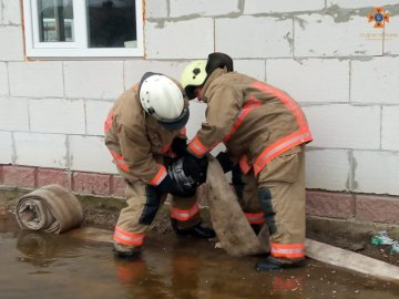 Рятувальники на Волині відкачали майже 2 тисячі кубометрів води з дворів та будинків. ФОТО