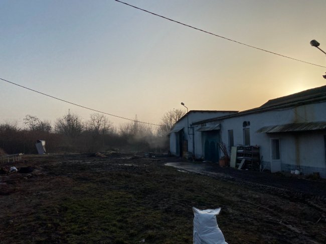 У Мукачеві горів свинокомплекс, загинуло 165 тварин. ФОТО