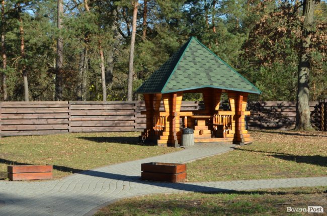 Савченко розповів, чому захищає лісників