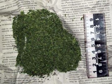 На Волині затримали харківчанина, який отримав пакунок з канабісом через пошту