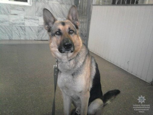 На Дніпропетровщині молодик вбив школярку