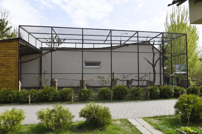 У луцькому зоопарку побудували вольєр за кошти від продажу квитків. ФОТО