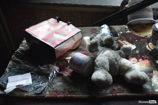 Пес-«терорист» та пожежа в гуртожитку. Надзвичайні новини тижня