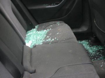 Пес-«терорист» та пожежа в гуртожитку. Надзвичайні новини тижня