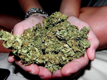 У волинянина вдома знайшли  коноплю