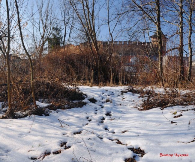 Луцький фотограф показав, де «лютневе сонечко лоскоче вії»