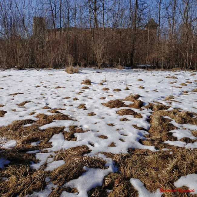 Луцький фотограф показав, де «лютневе сонечко лоскоче вії»
