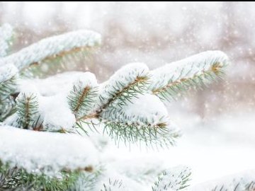 Коли в Україні очікувати морозів