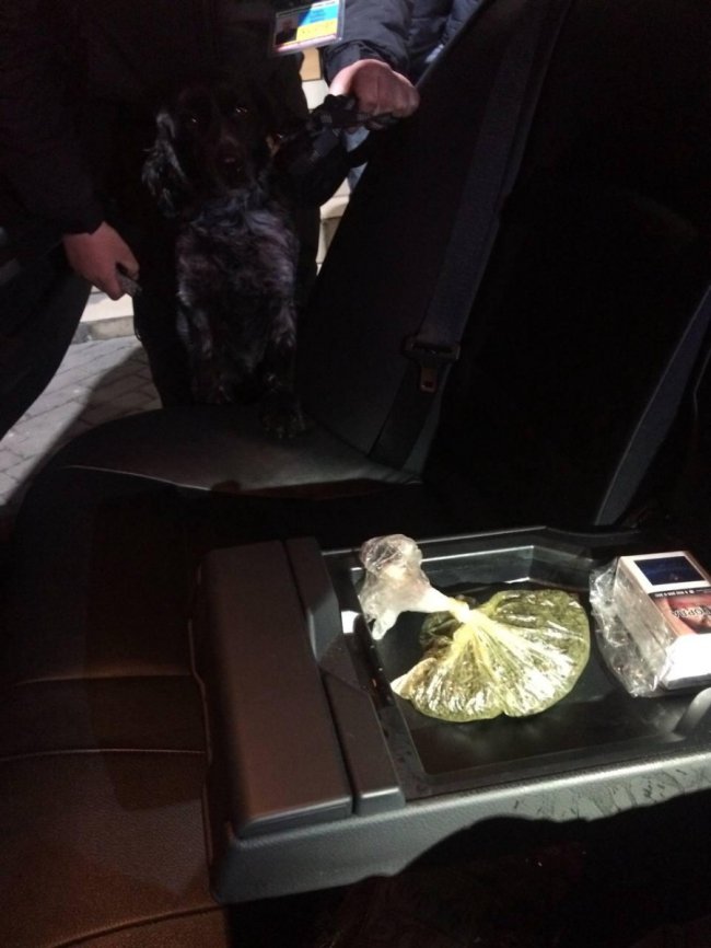 На «Ягодині» в BMW службовий собака знайшов марихуану. ФОТО