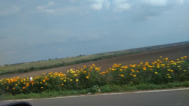 Голова Горохівської РДА розповіла, з чого планує почати роботу у районі. ФОТО