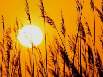 Погода у Луцьку та Волинській області на завтра, 21 серпня