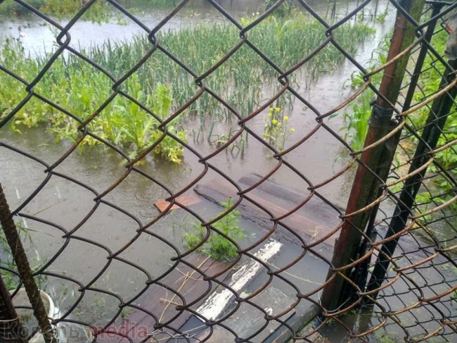 У Ковелі приватні подвір’я підтоплює міська каналізація. ФОТО