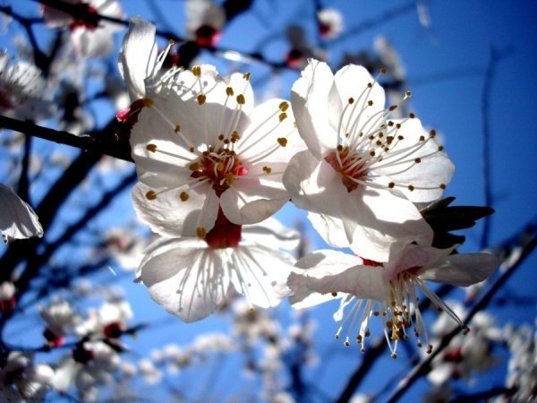 Фотовиставка Валентини Жуги