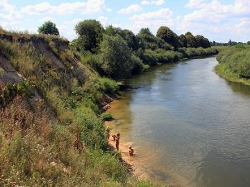 У Луцьку просять врятувати Стир від обміління