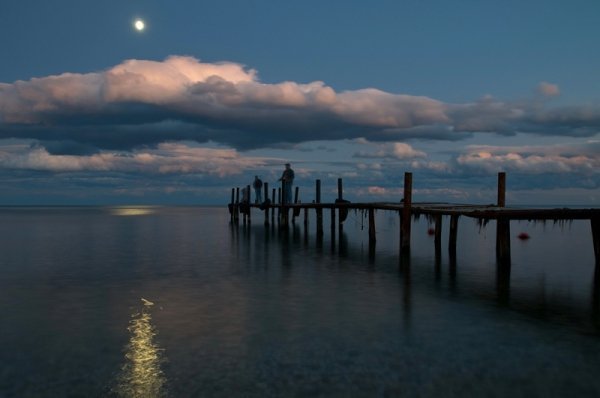 Фотовиставка Олександра Шишкіна