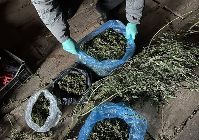 На Волині викрили групу наркоторговців