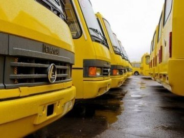 «Ми економічно не можемо цього витримати», - луцькі перевізники про діючі тарифи