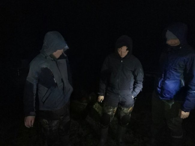 Браконьєри винищують водорості, які очищують Світязь