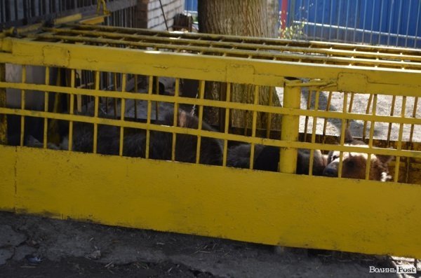 У Луцьку поляки проінспектували хід реконструкції міського зоопарку. ФОТО