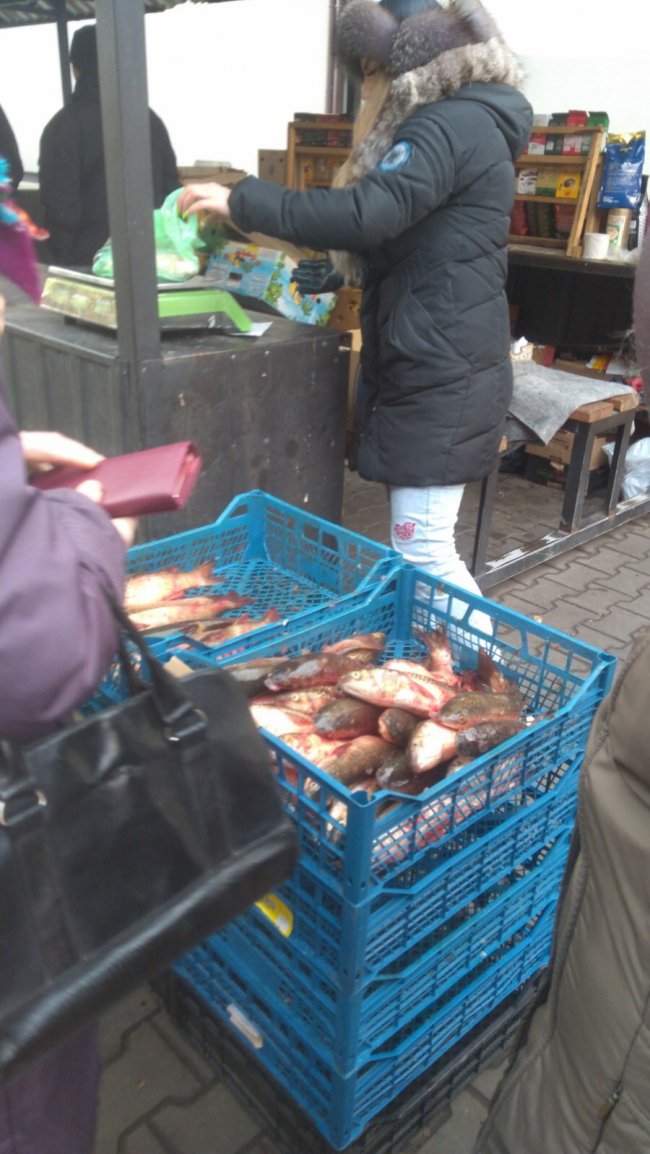 На ринках Луцька продавали «незаконну» рибу. ФОТО