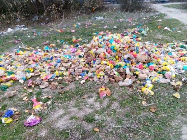 На Рівненщині біля дороги викинули цілу автівку хліба. ФОТО