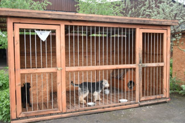 Для ремонту даху приміщення КП «Ласка» хочуть виділити кошти з міського бюджету