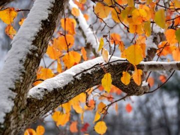 Волинський метеоролог розповіла, чи чекати найближчим часом снігу