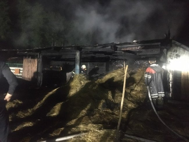 У селі на Волині горів хлів із сіном та дровами. ФОТО