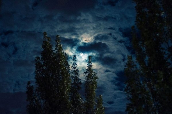 Фотовиставка Ольги Антонюк