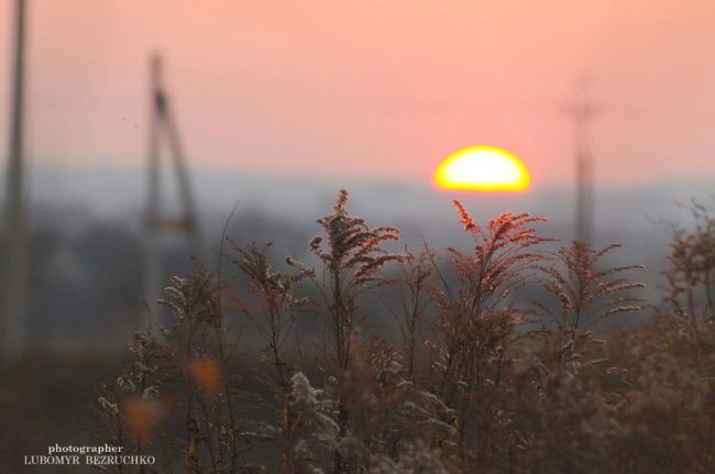 Роса і павутинки: луцький фотограф поділився осінніми світлинами