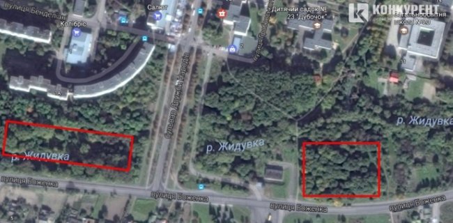 Де в Луцьку можна вигулювати собак. Перелік