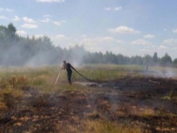 На Волині – пожежі на торфовищах