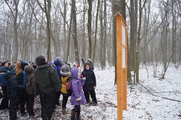 Волинські школярі прогулялися екологічною стежкою 