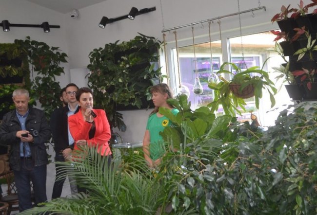 Колекція бонсаїв, рослини-хижаки і фітокартини: як у школі на Волині створили унікальний зимовий сад. ФОТО