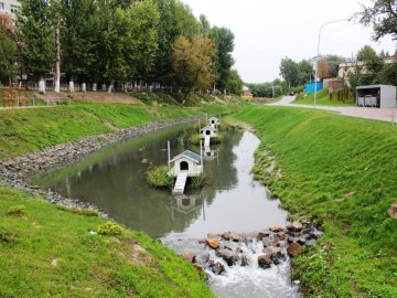 Луцькому депутату подякували за очищення Сапалаївки
