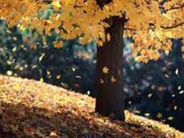 Погода в Луцьку та Волинській області на завтра, 7 листопада