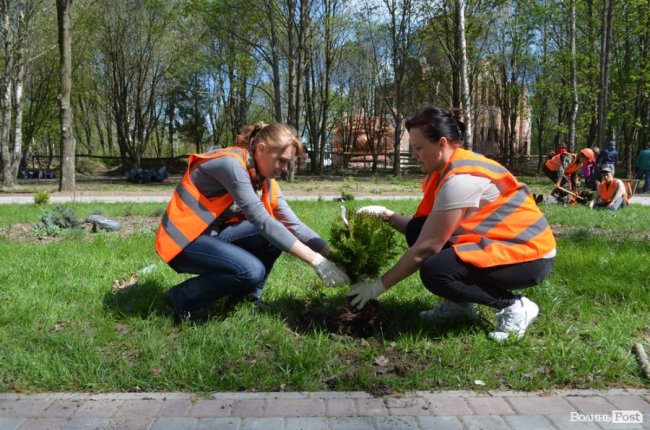 Граблі, мітли і нові деревця: весняна толока у луцькому парку. ФОТО