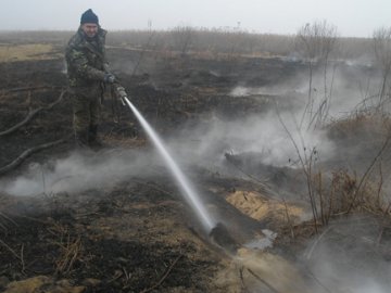 На Волині горіло півгектара торфу