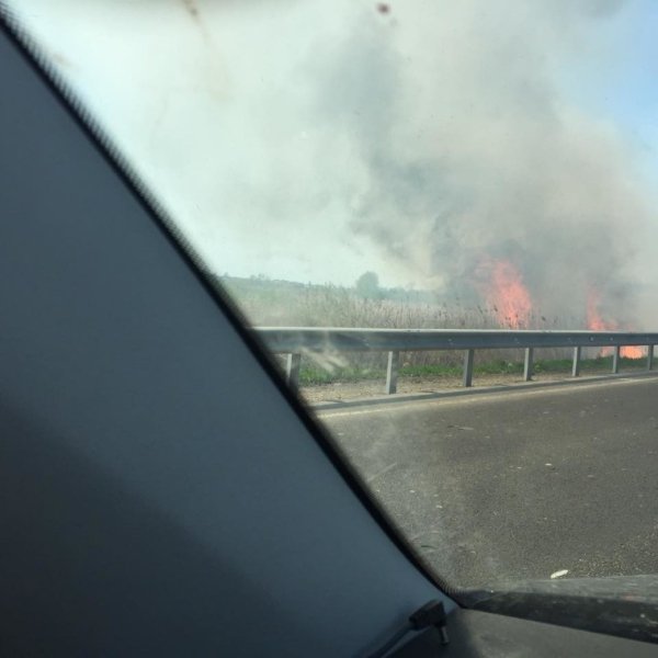 Біля волинського селища «розгулявся» вогонь