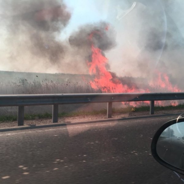 Біля волинського селища «розгулявся» вогонь