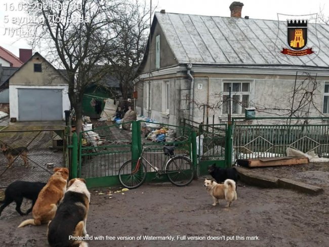 Нестерпний запах і бруд: лучанин влаштував сміттєзвалище на власному подвір'ї