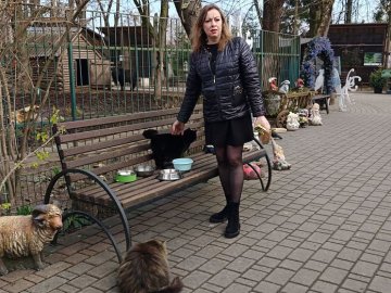 Дружать з дикобразами та мавпами: у Луцькому зоопарку живуть 50 котів